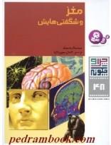 چرا و چگونه48 (مغز و شگفتی هایش) کتاب مغز و شگفتی هایش اثر مونیکا روسیگر