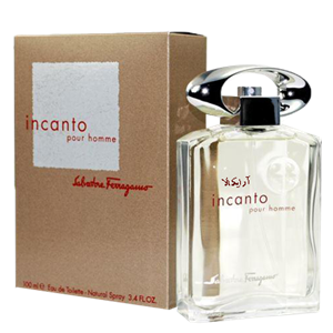 ادوتویلت مردانه Salvatore Farragamo Incanto (Men) 100ml Salvatore Farragamo Incanto Eau De Toilette For Men 100ml