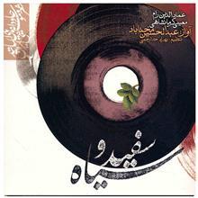 آلبوم موسیقی سفید و سیاه - عبدالحسین مختاباد 