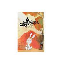 کتاب ماجرای باورنکردنی خرگوشی اثر  اودو ویگلت 