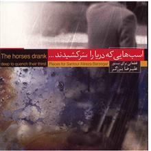 آلبوم موسیقی اسب هایی که دریا را سر کشیدند - علیرضا برزگر 