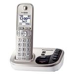 Panasonic KX-TGD220 Wireless Phone