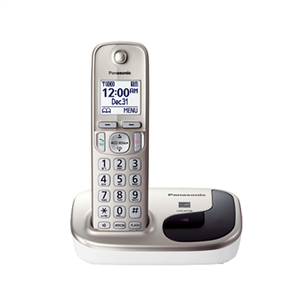 تلفن بی سیم پاناسونیک مدل تی جی دی 210 Panasonic KX-TGD210 Wireless Telephone