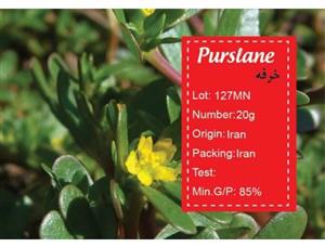 بذر خرفه گلباران سبز Golbaraesabz Common Purslane Seeds