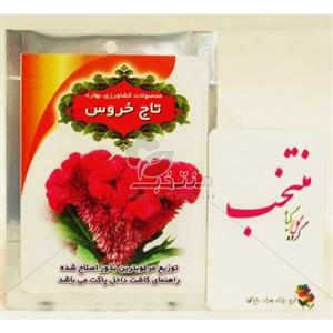 بذر  گل تاج خروس الوان گلباران سبز Golbaraesabz Amaranth Flower Seeds