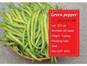 بذر فلفل سبز پاکان بذر Pakan Bazr Green Pepper Seeds