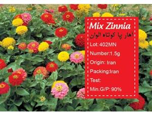 بذر  گل آهار پاکان سبز Pakan Bazr Zinnia Flower Seeds