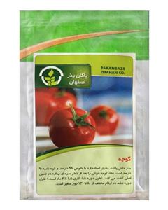 بذر گوجه فرنگی پاکان Pakan Bazr Tomato Seeds 