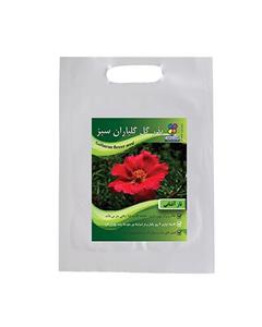 بستر آماده کشت گلباران سبز بسته 4 کیلوگرمی Golbarane Sabz 4 Kg Bastare Kesht Fertilizer