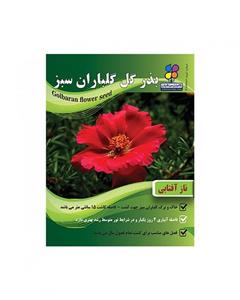 بستر آماده کشت گلباران سبز بسته 4 کیلوگرمی Golbarane Sabz 4 Kg Bastare Kesht Fertilizer