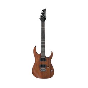 RG421 Ibanez - گیتار الکتریک Ibanez RG421 MOL