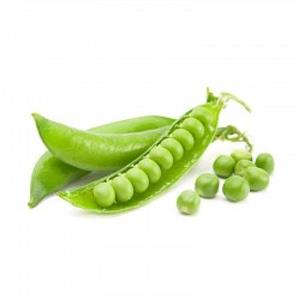 بذر نخود فرنگی گلباران سبز Golbaranesabz Peas Reyna Seeds