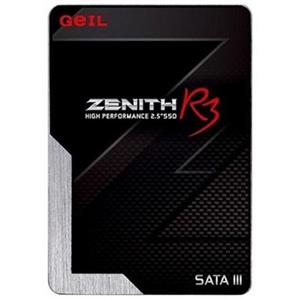 حافظه SSD گیل مدل GZ25R3 ظرفیت 240 گیگابایت