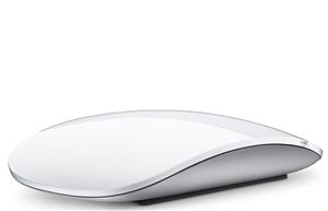   Apple MB829 Magic Mouse