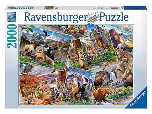 پازل 2000 تکه راونزبرگر مدل Postcard Parks Ravensburger Postcard Parks Puzzle 2000 Pcs
