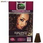 Gap Gold Golden Lightest Hair Color 9.3