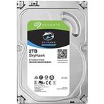 Seagate SkyHawk Internal Hard Drive -2TB