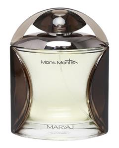 عطر مردانه Mons Montis 100ml EDP 