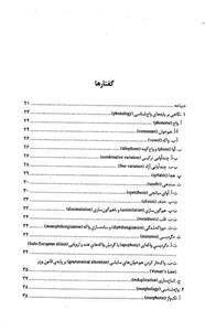 دستور زبان پارسی 