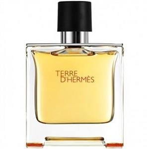 ادو پرفیوم مردانه هرمس مدل Terre d'Hermes Flacon H1 حجم 75 میلی لیتر Hermes Terre de Hermes Flacon H1 Eau De Parfum for Men 75ml