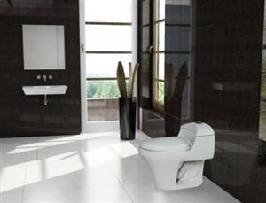 توالت فرنگی نانسی گلسار فارس BSK-3891