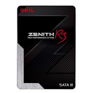 اس اس دی اینترنال جیل مدل Zenith R3 ظرفیت 120 گیگابایت