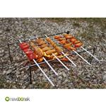 MP R20-0078 Barbecue