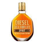 Diesel Fuel For Life Spirit دیزل فیول فور لایف اسپریت