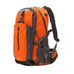 Swissgear 3502 laptop backpack