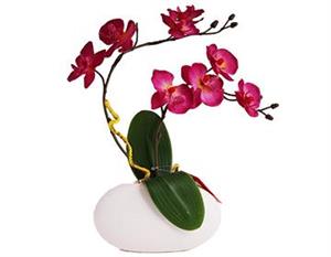 گل مصنوعی ارکیده با گلدان مدل 14089