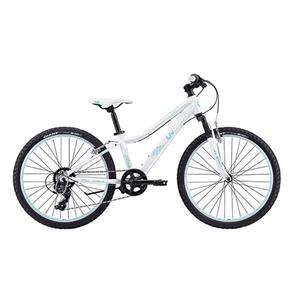 دوچرخه هیبریدی جاینت مدل Enchant 2 24 سایز 24