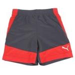 شورت مردانه پوما آی تی Puma It evoTrg Shorts ebony high ri 65440945