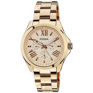 Fossil Group | AM4511 Women Watches  Clocks