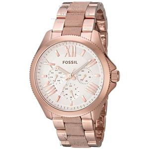 Fossil Group AM4622 Women Watches Clocks 