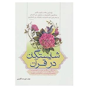 کتاب شایستگان در قرآن اثر علی محمد گودرزی 