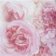 دستمال براون کد 1081 - بسته 20 عددی