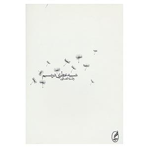 کتاب شبیه عطری در نسیم اثر رضیه انصاری