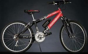 دوچرخه دینو بایکز Dino Bikes 424 U