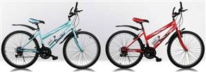 دوچرخه بونیتو Bonito ML 2604