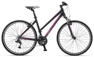 دوچرخه شهری جیانت Giant Roam 2 W (2012)
