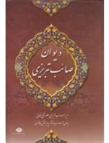 دیوان صائب تبریزی (2جلدی) 