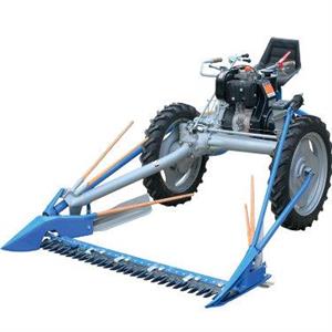 دروگر سه چرخ علف چین بی سی اس BCS 622 Antor 