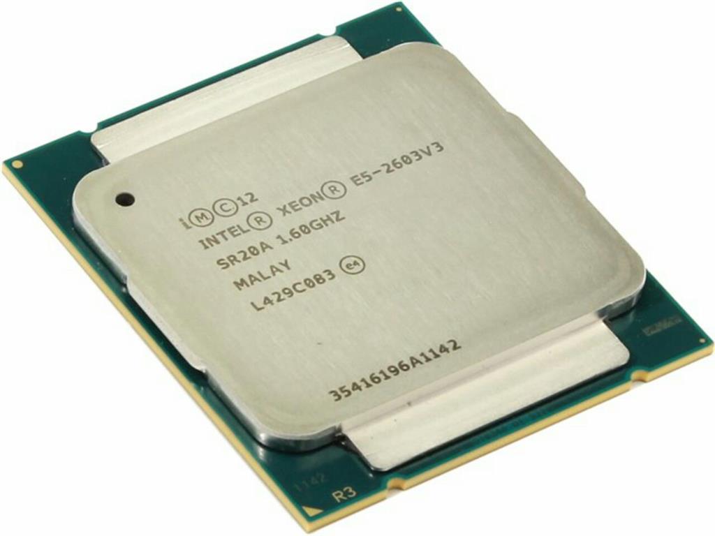 CPU: Intel Xeon E5-2603 V4