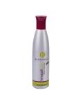 شامپو سیلور پلاس Berrywell 250ml