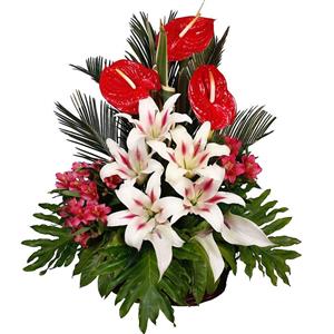 سبد گل طبیعی میتا مدل آنتریوم و لیلیوم Mita Anthorium And Lilium Fresh Flower Basket