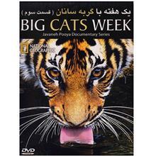 مستند یک هفته با گربه سانان 3 Big Cats Week