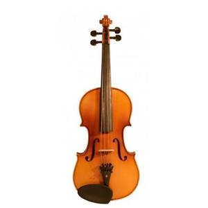 ویولن تی اف مدل 142 TF 142 Violin