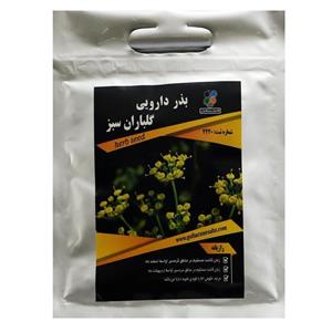 بذر رازیانه گلباران سبز Golbaranesabz Foeniculum Vulgare Seeds