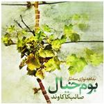 آلبوم موسیقی بوم خیال اثر صائب کاکاوند