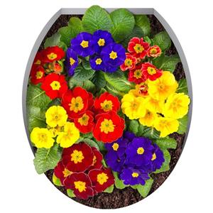 استیکر ژیوار طرح گل های رنگارنگ Zhivar Color Full Flowers Sticker
